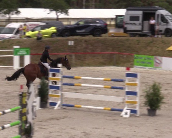 Reitturnier Holschdubrau 2024