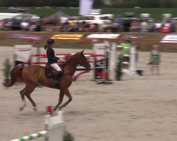 Reitturnier Holschdubrau 2024