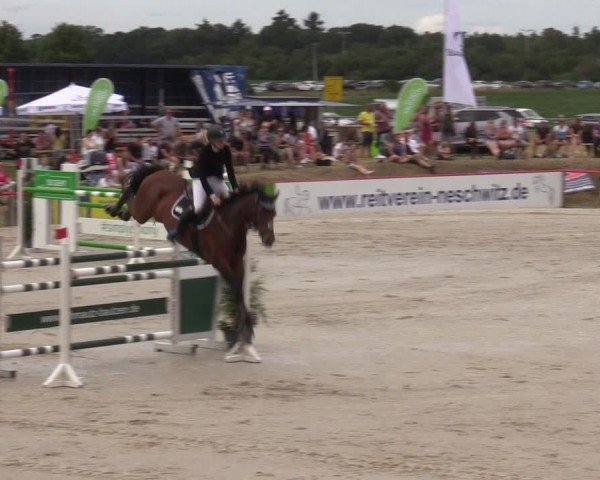Reitturnier Holschdubrau 2024