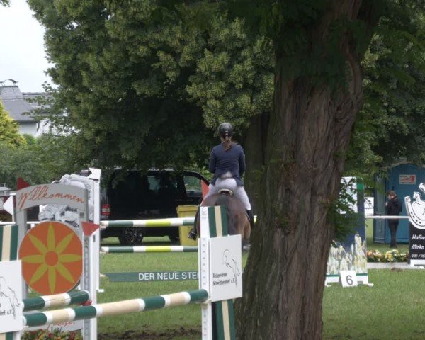 Reitturnier Schwittersdorf-Beesenstedt 2024