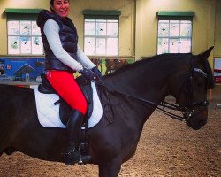 dressage horse Voice (KWPN (Royal Dutch Sporthorse), 2002, from Ro-Lex)