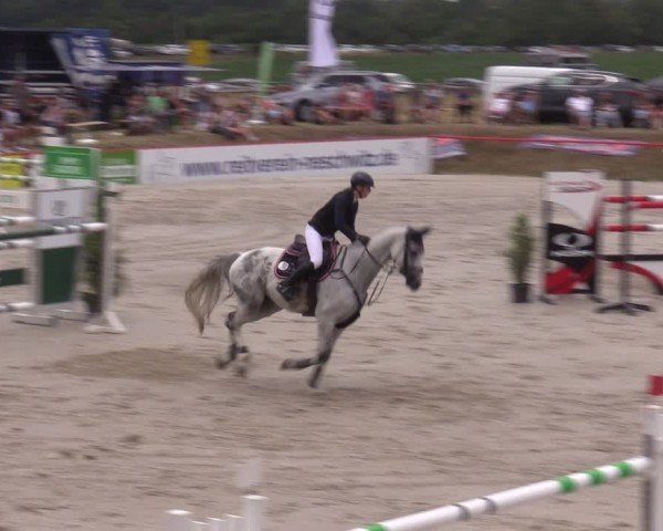 Reitturnier Holschdubrau 2024