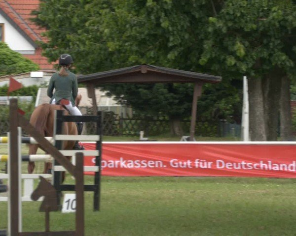 Reitturnier Schwittersdorf-Beesenstedt 2024