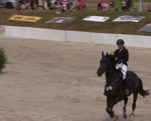 Reitturnier Holschdubrau 2024