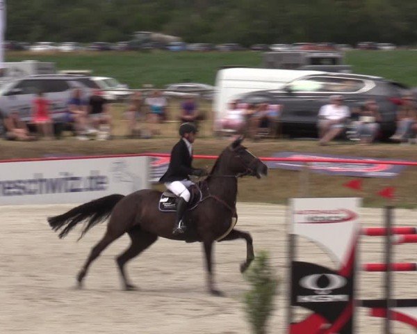 Reitturnier Holschdubrau 2024