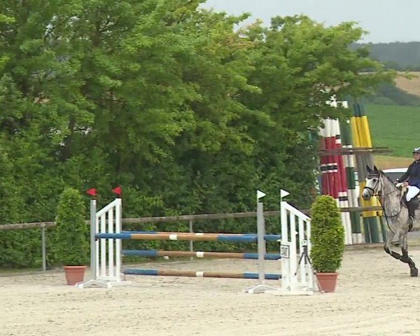 Reitturnier Großbardorf/Ufr. 2024