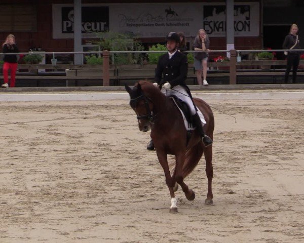 Reitturnier Uder, Reitanlage Kobold 2024