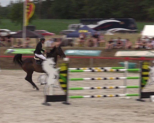 Reitturnier Holschdubrau 2024