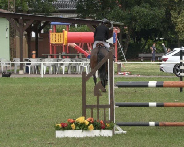 Reitturnier Schwittersdorf-Beesenstedt 2024