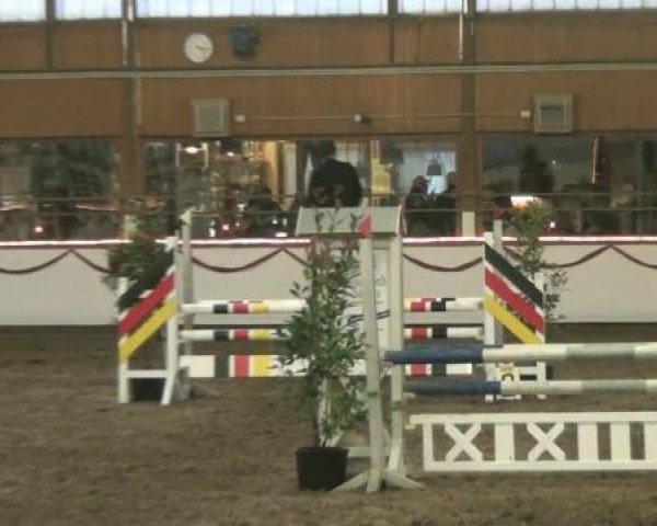 Hallen-Reit- und Springturnier des RV Suedlohn-Oeding für Ponys und Großpferde 2012