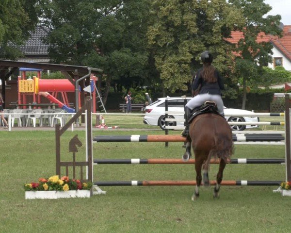 Reitturnier Schwittersdorf-Beesenstedt 2024