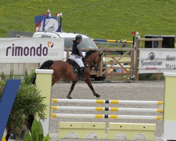 Reitturnier Margarethenhof / Beckingen 2024