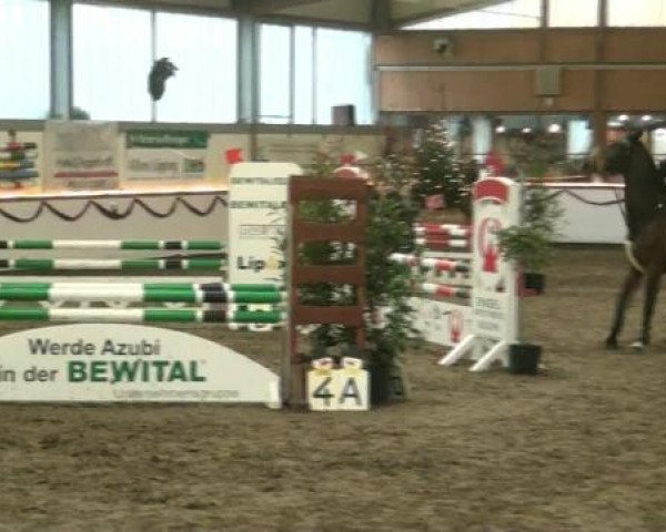 Hallen-Reit- und Springturnier des RV Suedlohn-Oeding für Ponys und Großpferde 2012