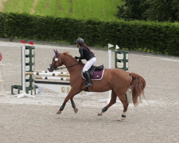 Reitturnier Margarethenhof / Beckingen 2024