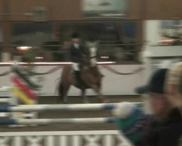 Hallen-Reit- und Springturnier des RV Suedlohn-Oeding für Ponys und Großpferde 2012
