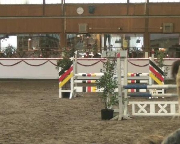 Hallen-Reit- und Springturnier des RV Suedlohn-Oeding für Ponys und Großpferde 2012