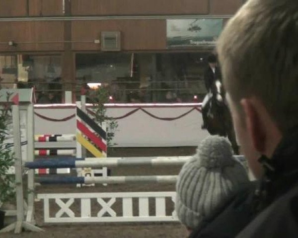 Hallen-Reit- und Springturnier des RV Suedlohn-Oeding für Ponys und Großpferde 2012