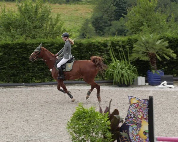 Reitturnier Margarethenhof / Beckingen 2024