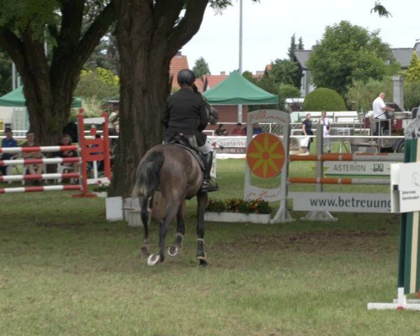 Reitturnier Schwittersdorf-Beesenstedt 2024