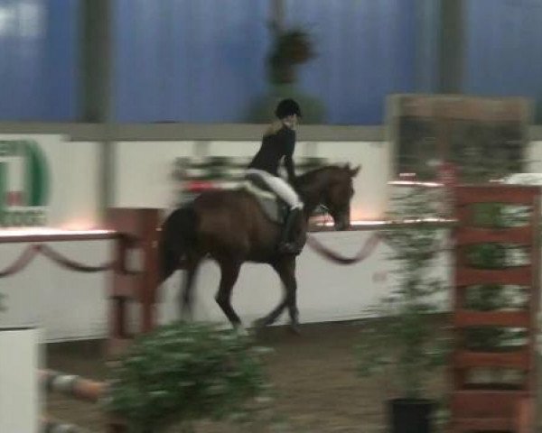Hallen-Reit- und Springturnier des RV Suedlohn-Oeding für Ponys und Großpferde 2012