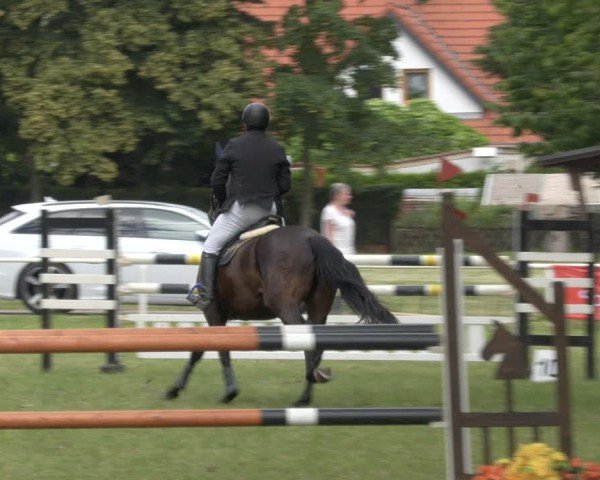 Reitturnier Schwittersdorf-Beesenstedt 2024