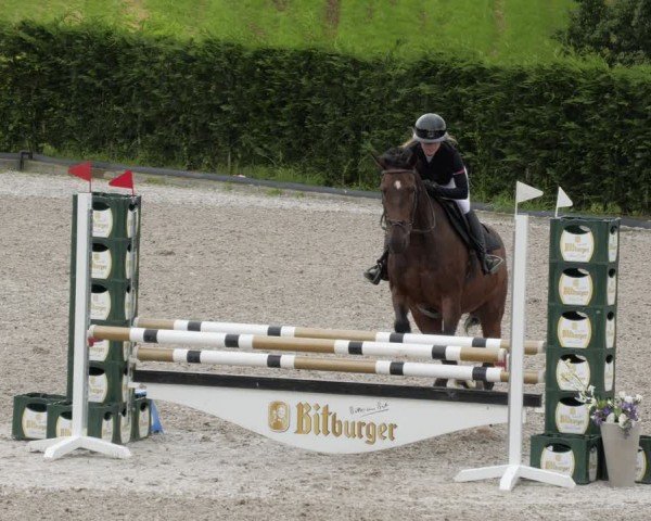 Reitturnier Margarethenhof / Beckingen 2024