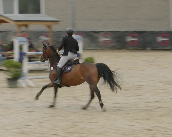 Reitturnier Kalenborn Hegehof 2024