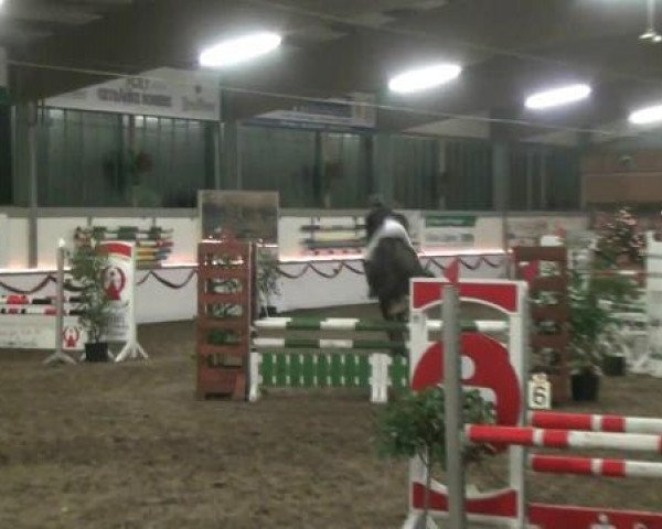 Hallen-Reit- und Springturnier des RV Suedlohn-Oeding für Ponys und Großpferde 2012