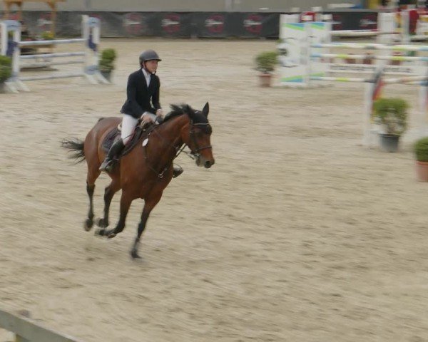 Reitturnier Kalenborn Hegehof 2024