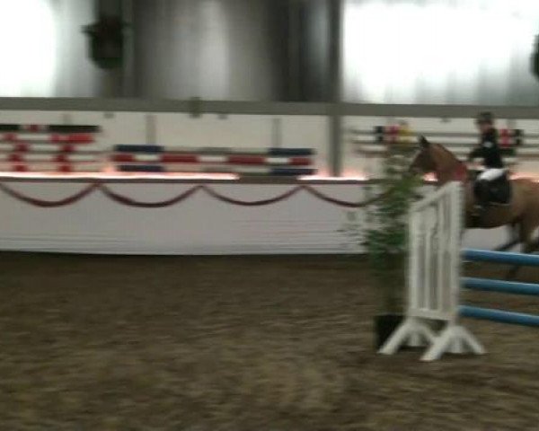 Hallen-Reit- und Springturnier des RV Suedlohn-Oeding für Ponys und Großpferde 2012