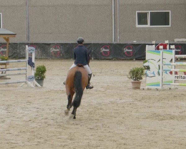 Reitturnier Kalenborn Hegehof 2024