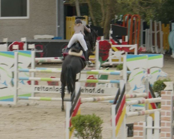 Reitturnier Kalenborn Hegehof 2024