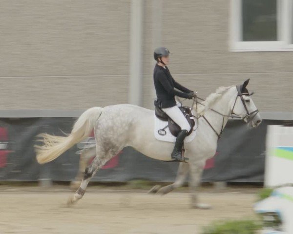 Reitturnier Kalenborn Hegehof 2024
