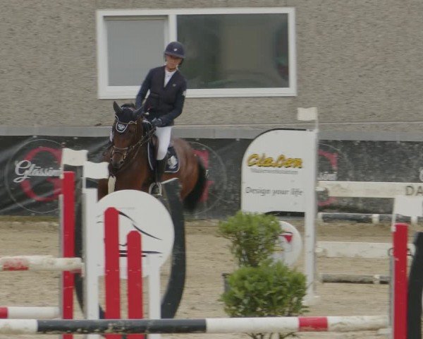 Reitturnier Kalenborn Hegehof 2024