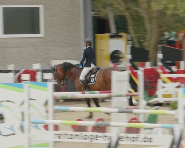 Reitturnier Kalenborn Hegehof 2024