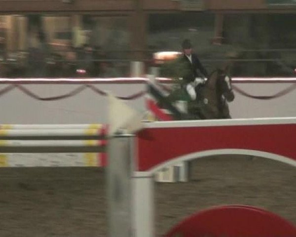 Hallen-Reit- und Springturnier des RV Suedlohn-Oeding für Ponys und Großpferde 2012