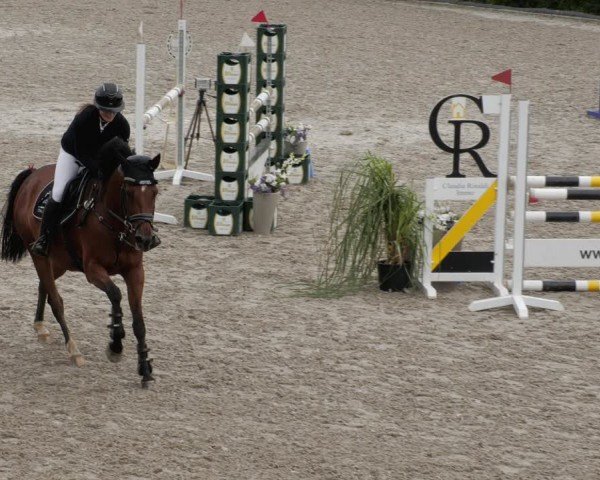 Reitturnier Margarethenhof / Beckingen 2024