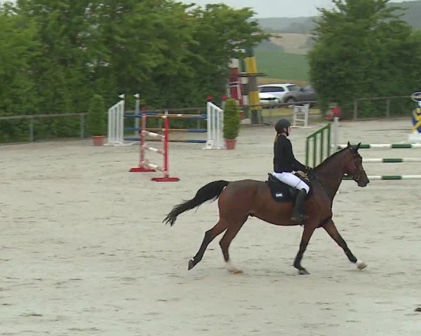 Reitturnier Großbardorf/Ufr. 2024