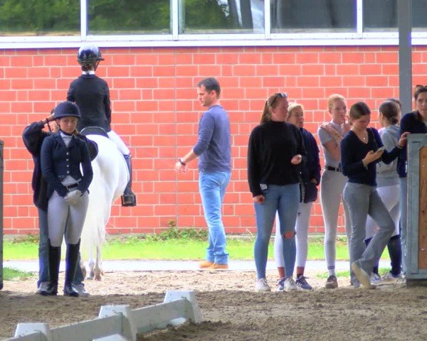 Reitturnier Langenfeld 2024