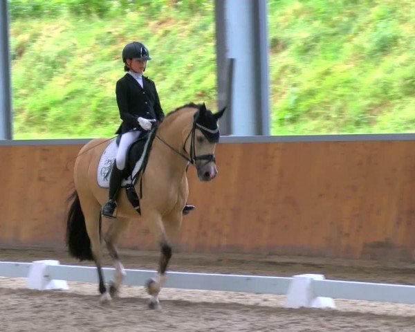 Reitturnier Langenfeld 2024