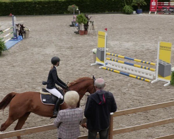 Reitturnier Margarethenhof / Beckingen 2024