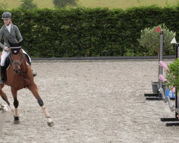 Reitturnier Margarethenhof / Beckingen 2024