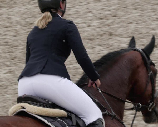 Reitturnier Margarethenhof / Beckingen 2024