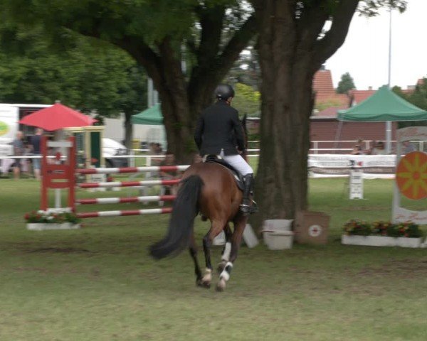 Reitturnier Schwittersdorf-Beesenstedt 2024