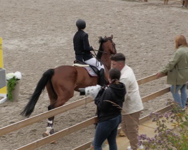 Reitturnier Margarethenhof / Beckingen 2024