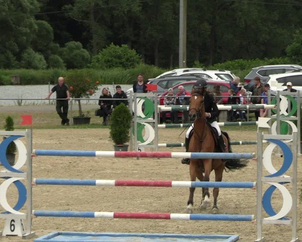 Reitturnier Bad Liebenstein/Sorga 2024
