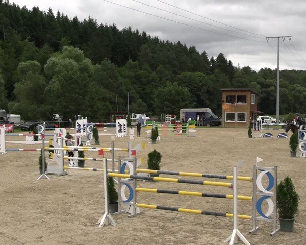 Reitturnier Bad Liebenstein/Sorga 2024