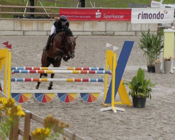 Reitturnier Margarethenhof / Beckingen 2024