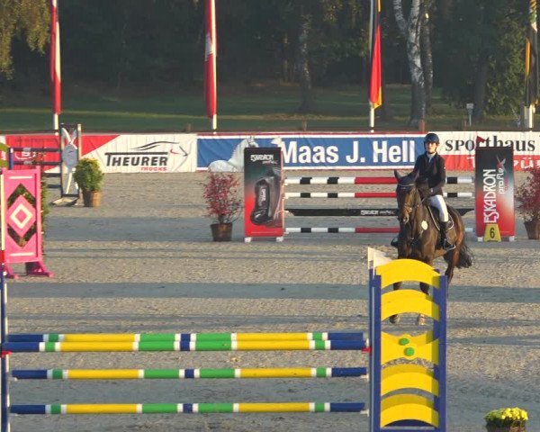 Reitturnier Westergellersen 2021