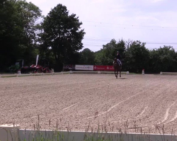 Reitturnier St. Georg Münster | Dressurtage am Aasee 2024